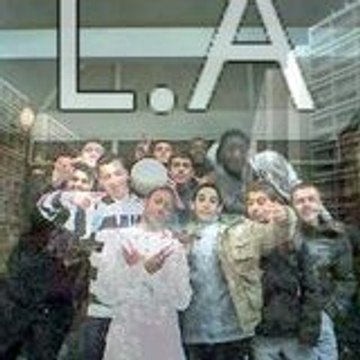 dams_33