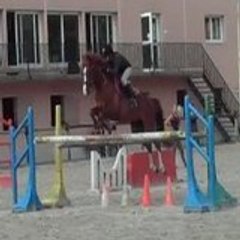 arlekine11