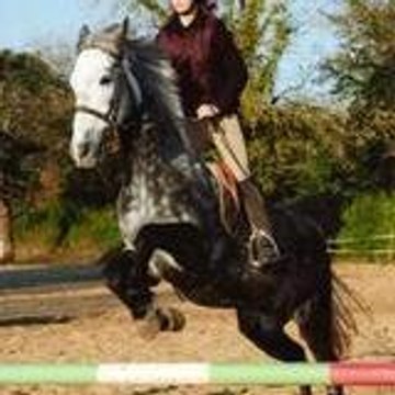morgane-jessy