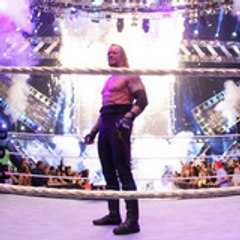 TheUndertaker619