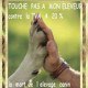 la-tomme