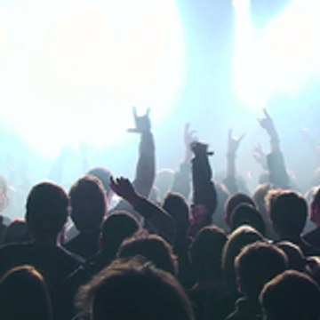 Fallenfest