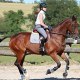 camille57230