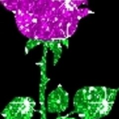 IamAnimeLover
