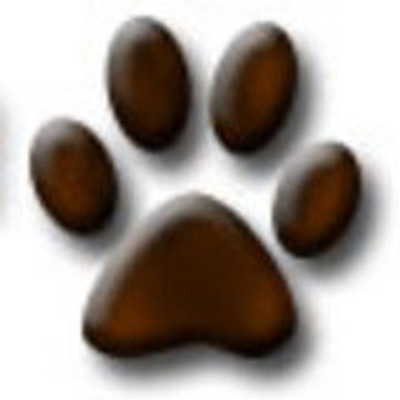 pourchien