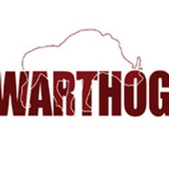 Warthog