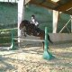 perdudevue14