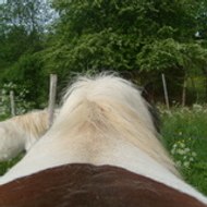 celui qu'on m'a transmis