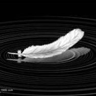 The Pianist Of The Moonlight