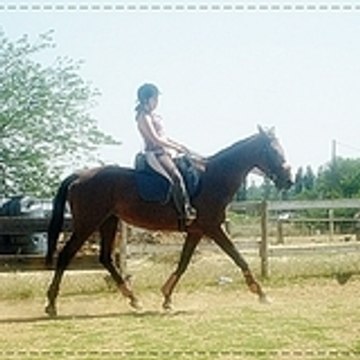 axellourette