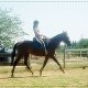 axellourette