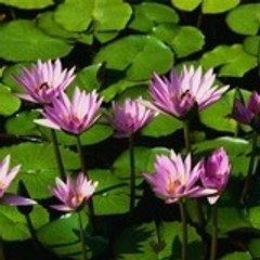 giriraj0123