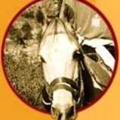 cheval-lot
