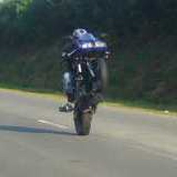 leehawk