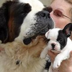 Sonia Kolotnitcheff-Dupuy