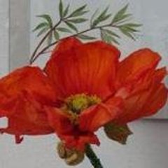 Marie Raskin