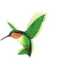 a2colibri