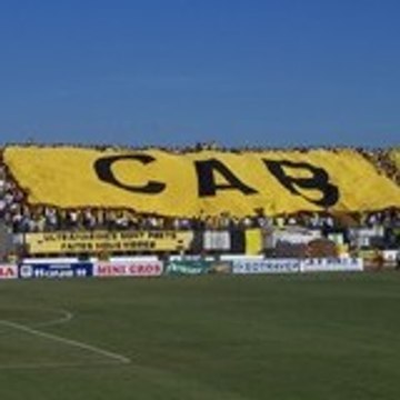 lebizertin2003