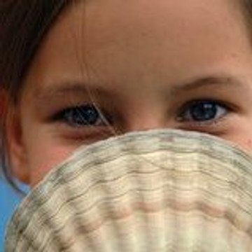 Baie de Saint-Brieuc