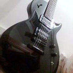 zebra_guitar