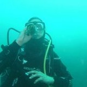 Productions Vermoulues