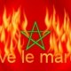 nordine84