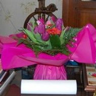 Anne Marie POISON77760