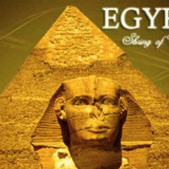 Ahmad Saoudy Abo-Leila