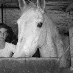 cheval-x3