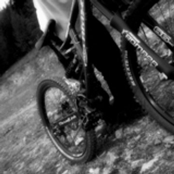 Sans Ride Fixe