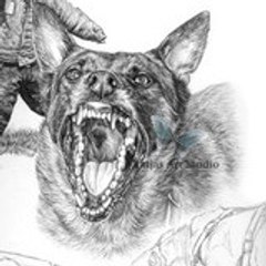 falkolemalinois