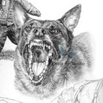 falkolemalinois
