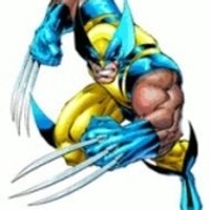 TheWolverineXmen