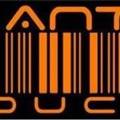 DVS ANTHON