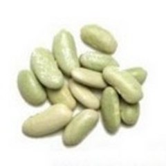 Flageolet2