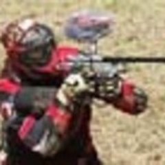 Silentfox300