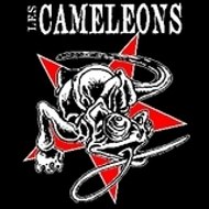 Les vidéos des Caméléons