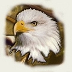 NorthernEagle