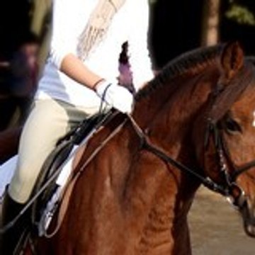 jenilove0401