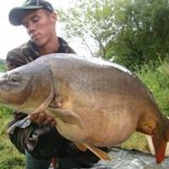 Aurel Carp Fishing