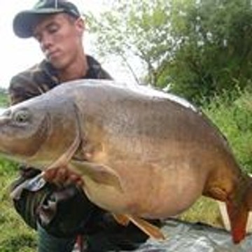 Aurel Carp Fishing