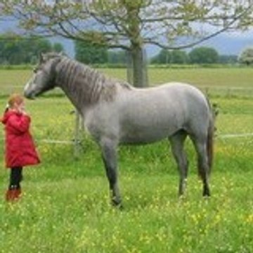 Elevage du Maucomble