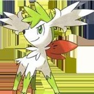 digipoke