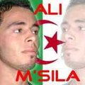 ali - msila
