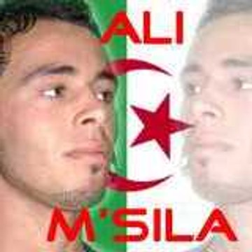 ali - msila