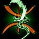 KABYLE76620