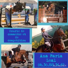 ana faria leal