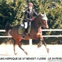 hideale45