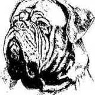 Doguedebordeaux54