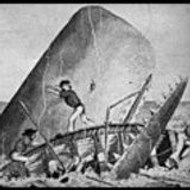 Moby Dick